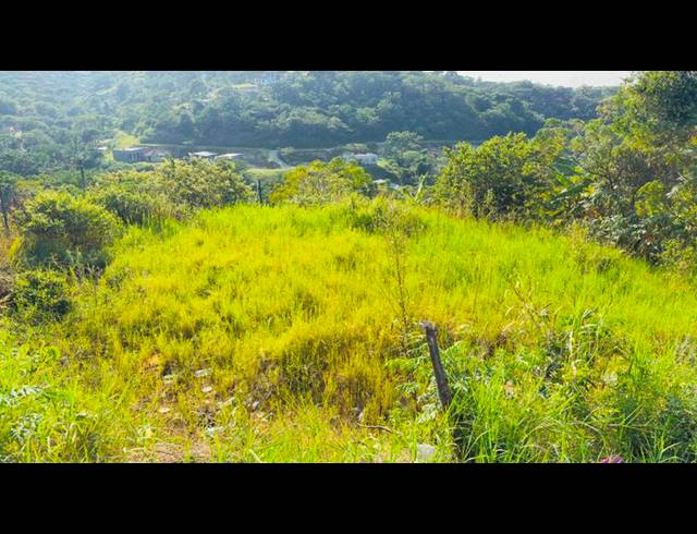 LAND FOR SALE IN LOVU